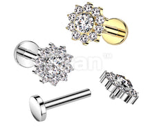 Load image into Gallery viewer, Cartilage/Labret Piercing TIL295
