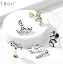 Load image into Gallery viewer, Cartilage/Labret Piercing TIL44
