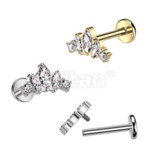 Load image into Gallery viewer, Cartilage/Labret Piercing TIL952
