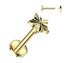 Load image into Gallery viewer, Cartilage/Labret Piercing TIL154
