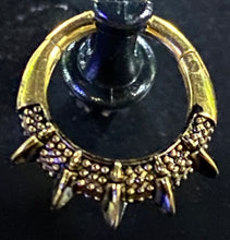 Load image into Gallery viewer, Septum Surgical RH026

