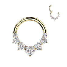 Load image into Gallery viewer, RHT496 Septum Titanium Piercing
