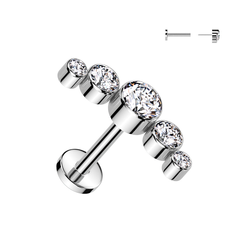 Cartilage/Labret Pus-In ITL417