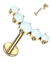 Load image into Gallery viewer, Cartilage/Labret Piercing TIL946
