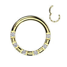 Load image into Gallery viewer, RH106 Septum Piercing Surgical
