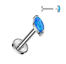 Load image into Gallery viewer, Cartilage/Labret Piercing TIL102P
