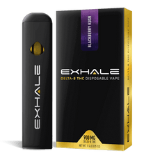 Load image into Gallery viewer, Exhale Delta 8 Disposable
