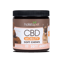 Load image into Gallery viewer, CBD Dog Mobility Chews
