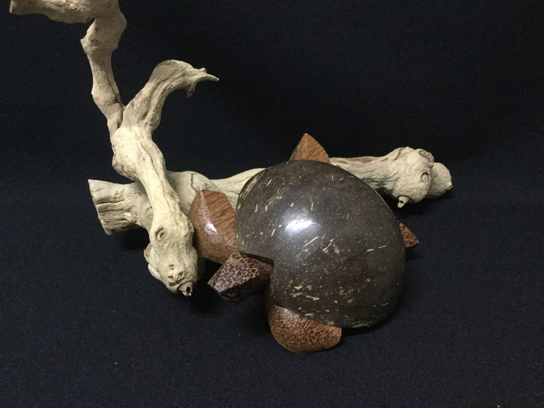 Turtle Ashtray Wood